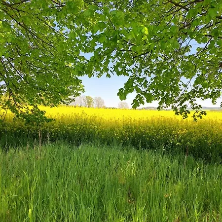 Talstation Horselberg-Hainich